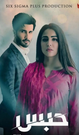 Feroze Khan and Ushna Shah in Habs drama