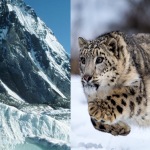 isual depiction of ecosystem disruption in the Himalayas due to climate change.
