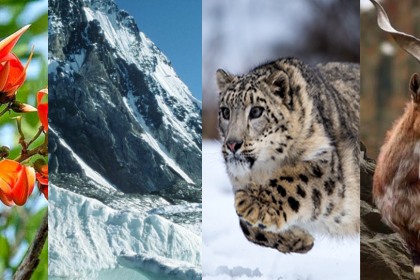 isual depiction of ecosystem disruption in the Himalayas due to climate change.