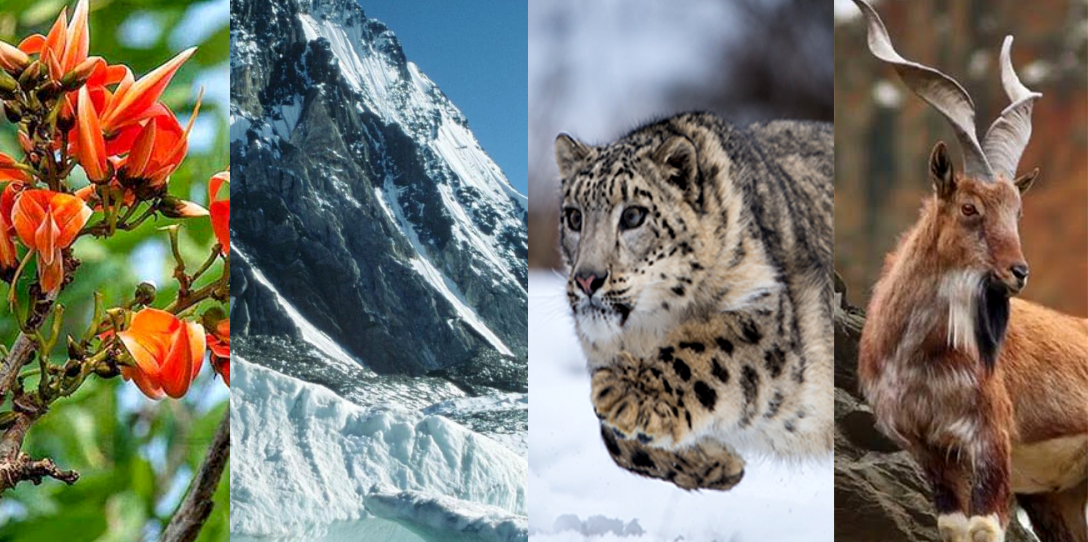 isual depiction of ecosystem disruption in the Himalayas due to climate change.