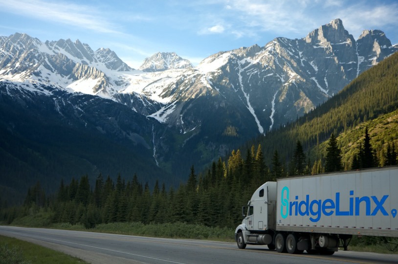 BridgeLinx AI-powered logistics in Pakistan