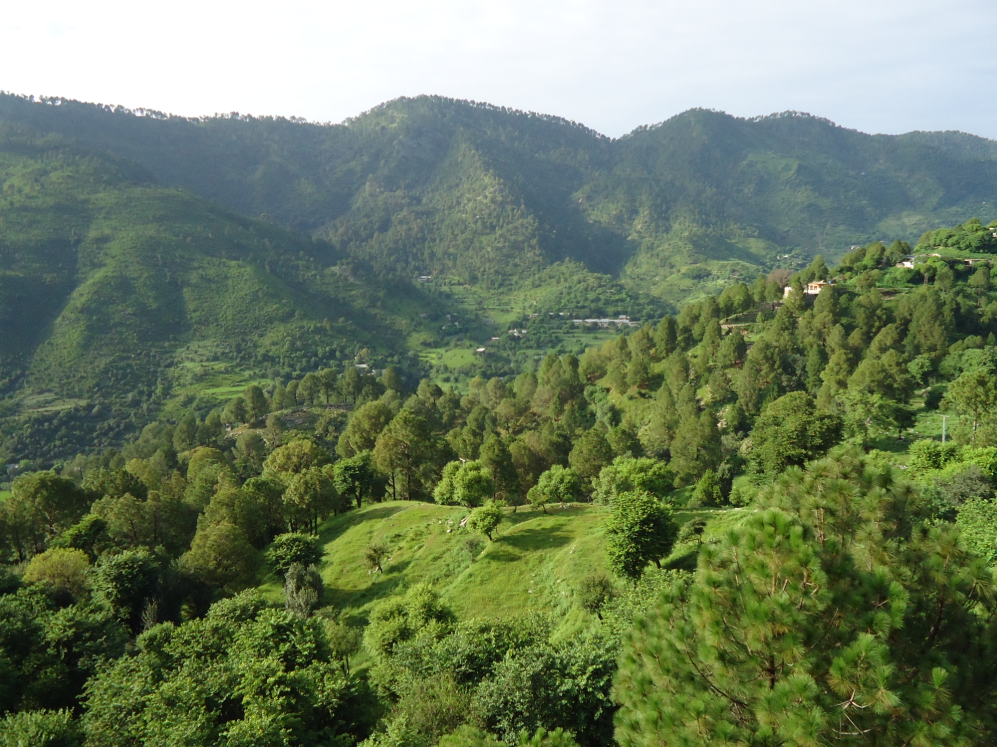 Margalla Hills – Forested hiking trails above Islamabad city