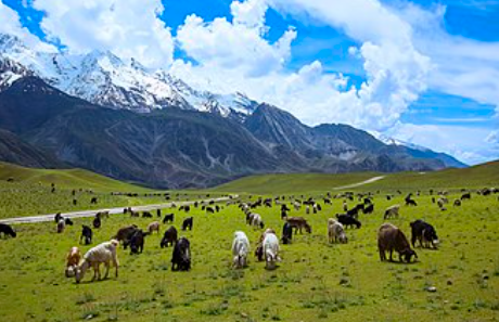 Chitral Gol National Park in Khyber Pakhtunkhwa – Alpine valley and habitat of the markhor