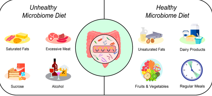 Yogurt and prebiotic foods supporting gut microbiome in modern diet