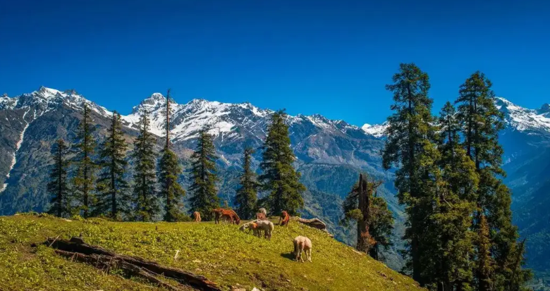 Haramosh Peak towering over the lush valley.