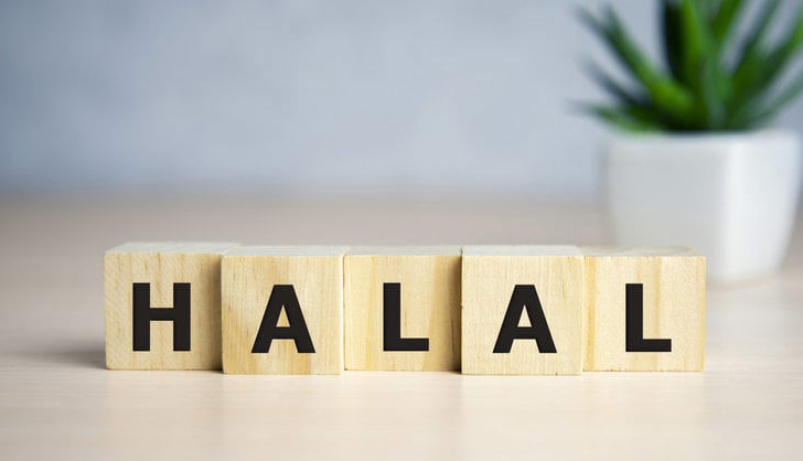 A graph with upward growth and Islamic finance symbols representing halal investment.