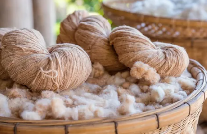Eco-friendly clothing made from organic cotton and bamboo.