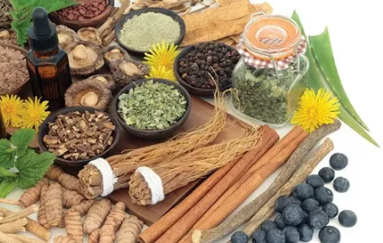 Evidence-Based Herbal Medicine Practices