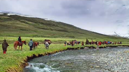 Deosai National Park – The Land of Giants: A High-Altitude Wilderness
