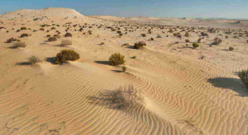 Baloch Nomads of Makran Desert
