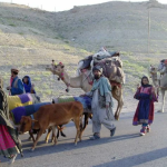 Real-Life Stories from Pakistani Nomadic Routes