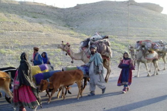 Real-Life Stories from Pakistani Nomadic Routes