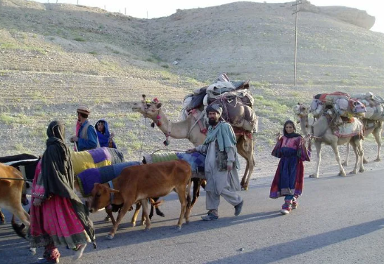 Real-Life Stories from Pakistani Nomadic Routes