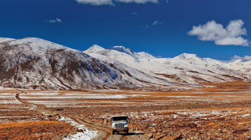 Deosai Plains in Bloom