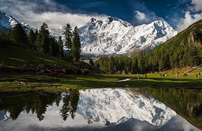 A panoramic view of the diverse Himalayan mountain ecosystem.