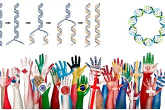 Visual of human DNA blended with speech bubbles in various languages