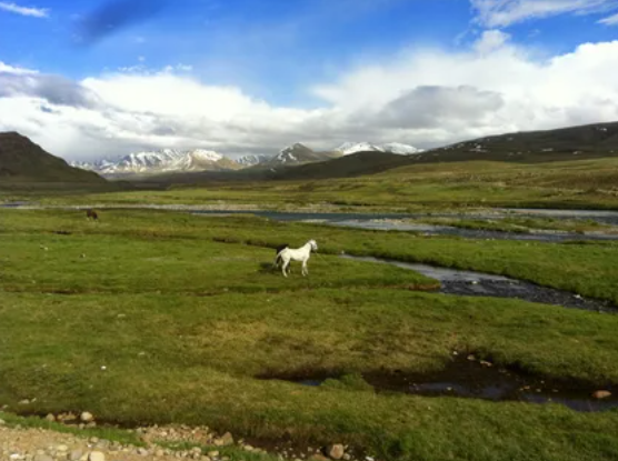 Deosai Plains – High-altitude plateau with wildflowers and marmots