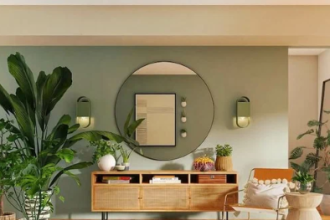 Budget-friendly Pakistani home décor with colorful cushions and indoor plants